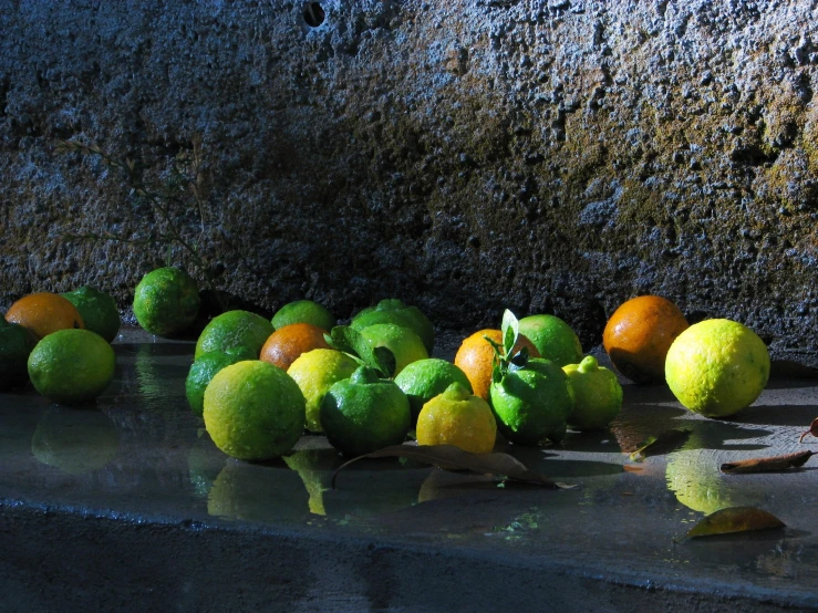 oranges and lemons are arranged in a row on the concrete