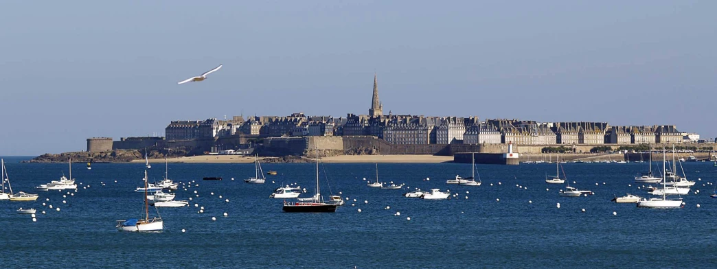 a large city overlooking a body of water with many boats