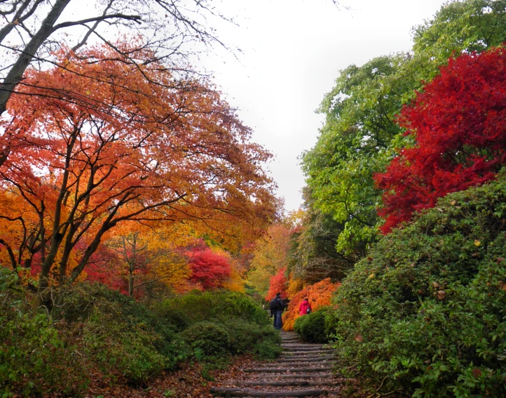 the two people are walking down the stone steps in the park