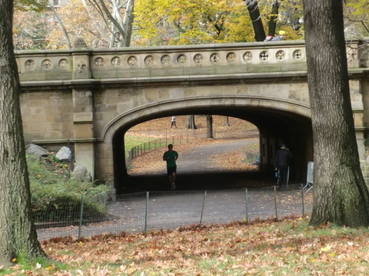 two people are standing in the park under a bridge