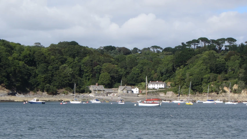 a bunch of boats are parked on the water