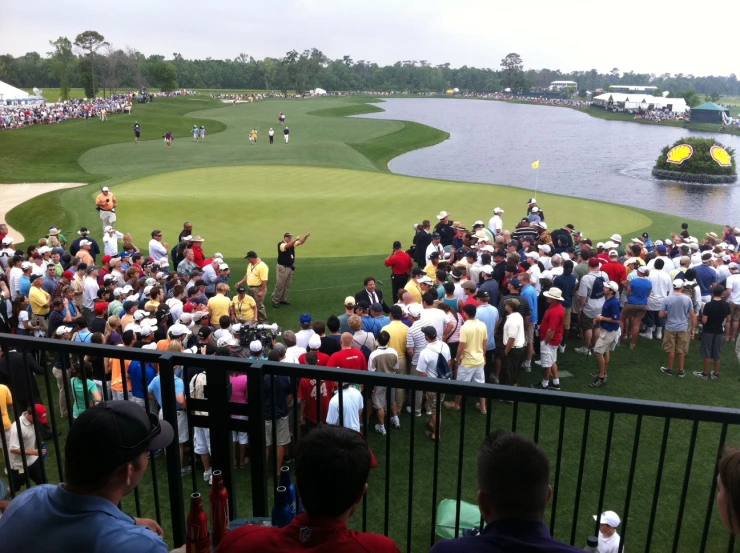 a group of people are watching a golf match