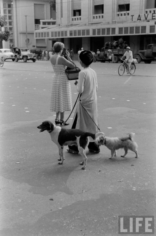 a group of girls walking two dogs on a leash