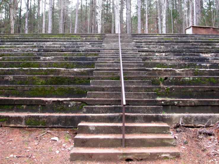 a number of steps that are in front of trees