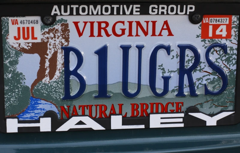 a car plate that reads, i love the blue mountain scene on the side