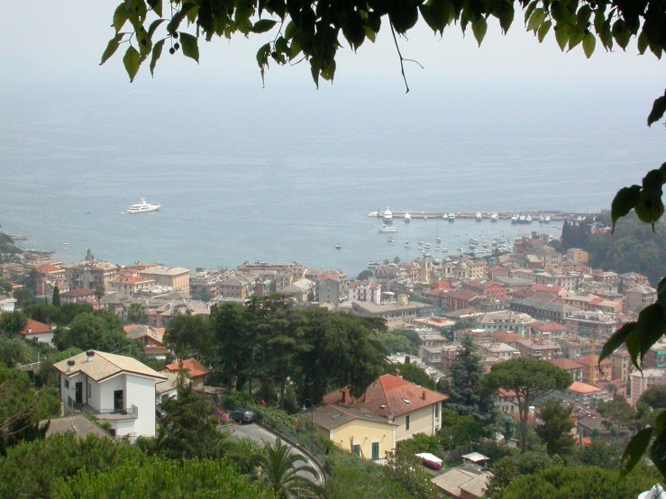 a view of the city and sea from a hill
