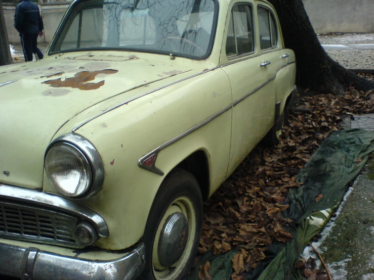 a yellow car is parked on leaves next to a tree