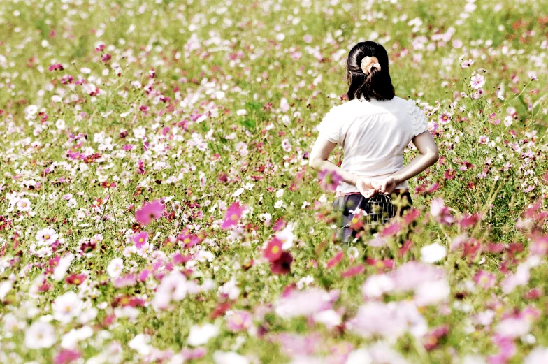 a man in a field with a large amount of flowers