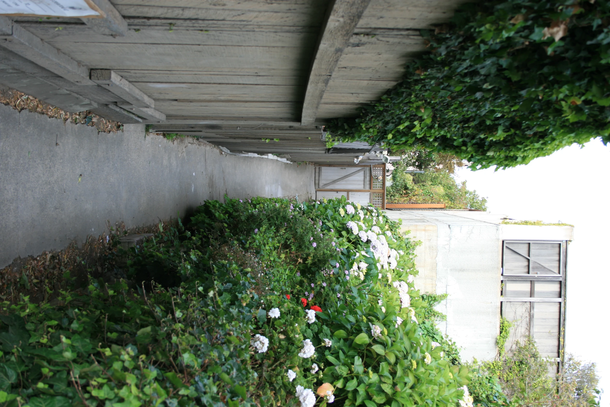 a walkway leading into a brick walled area