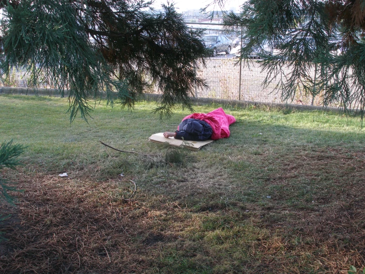 a backpack on the ground underneath a tree