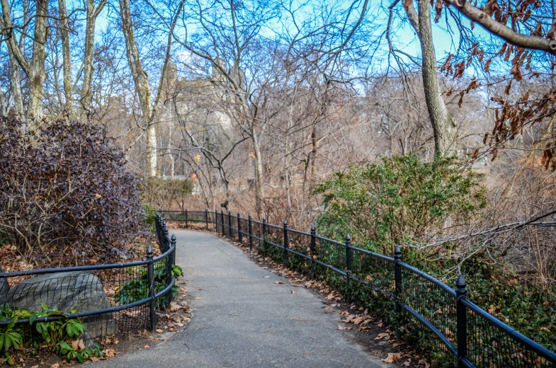 a path next to trees with a clock on it