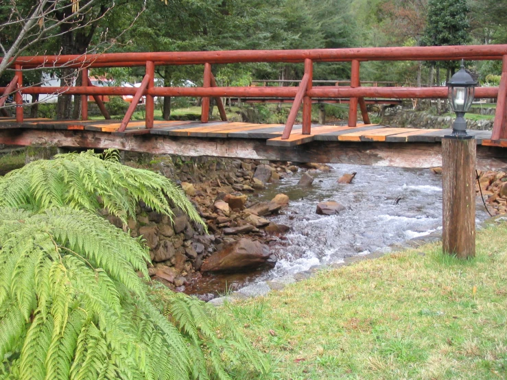 a bridge over a small stream with moss growing on it