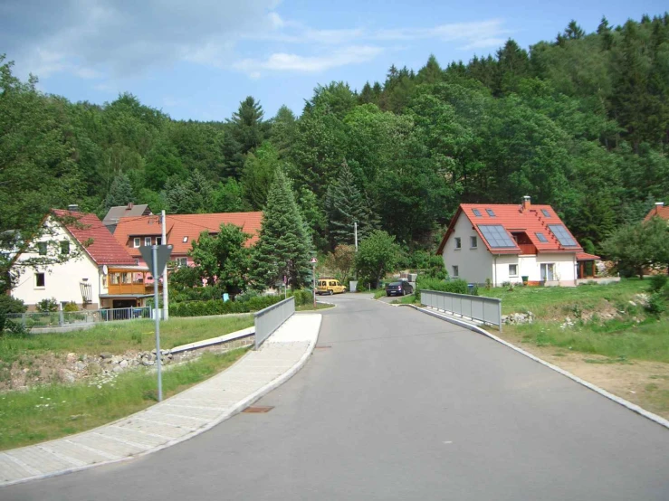houses line the sides of the road next to a green forest