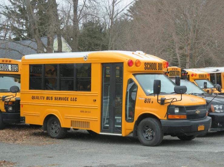 a row of school buses parked on top of a road