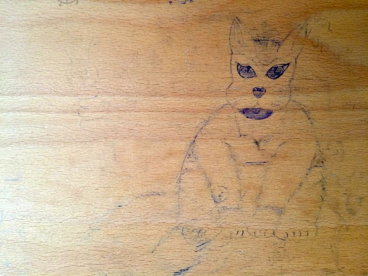 a drawing of a cat on wood with an added color