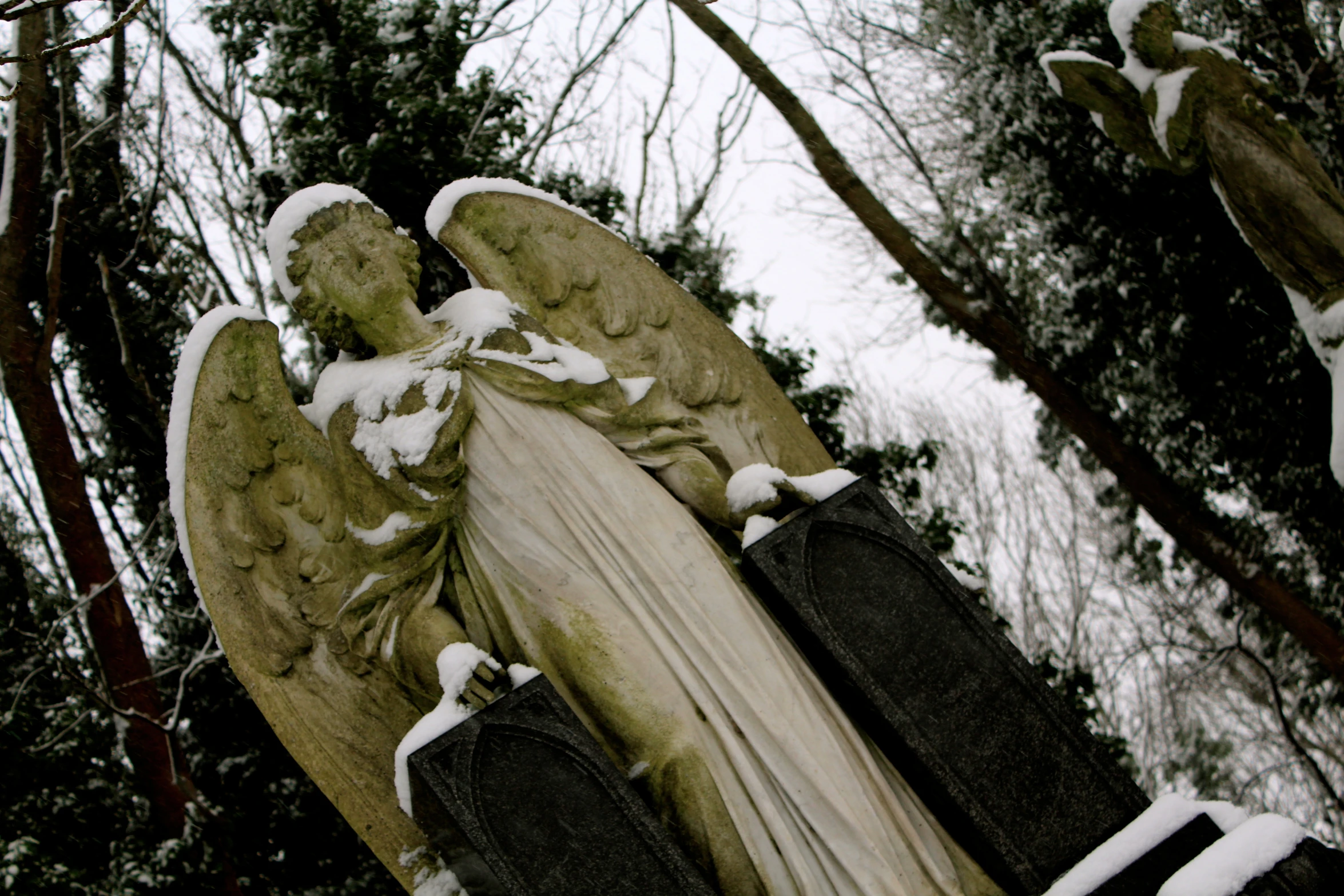 an angel statue next to snow covered trees