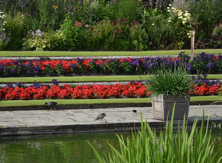 a beautiful garden has many flowered displays by a body of water