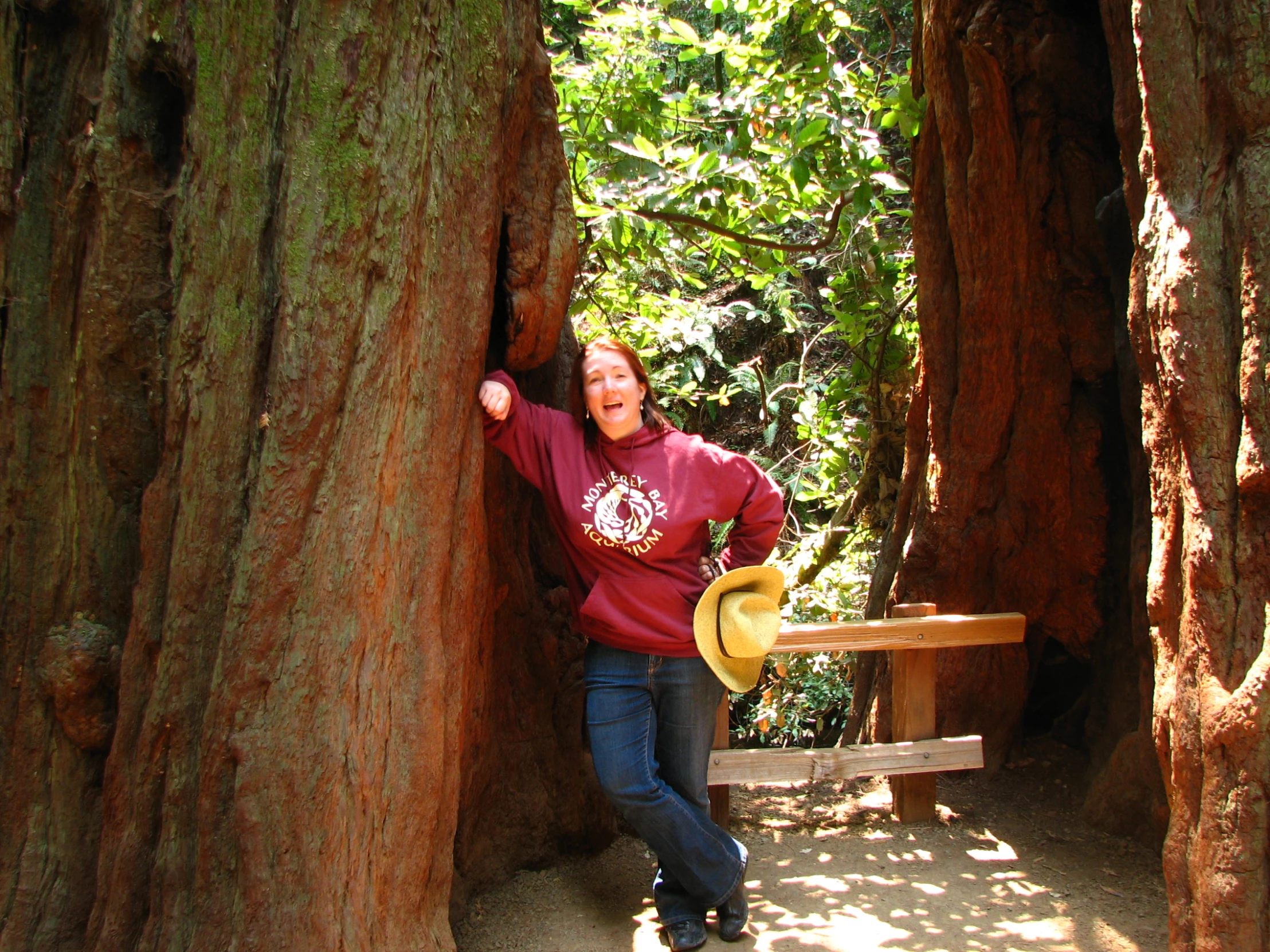 a woman holding a hat while standing in between two tall trees