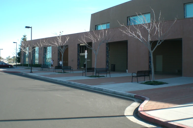 a group of small trees are shown next to the sidewalk