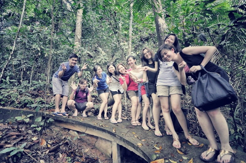 several people standing on a tree bridge in the woods