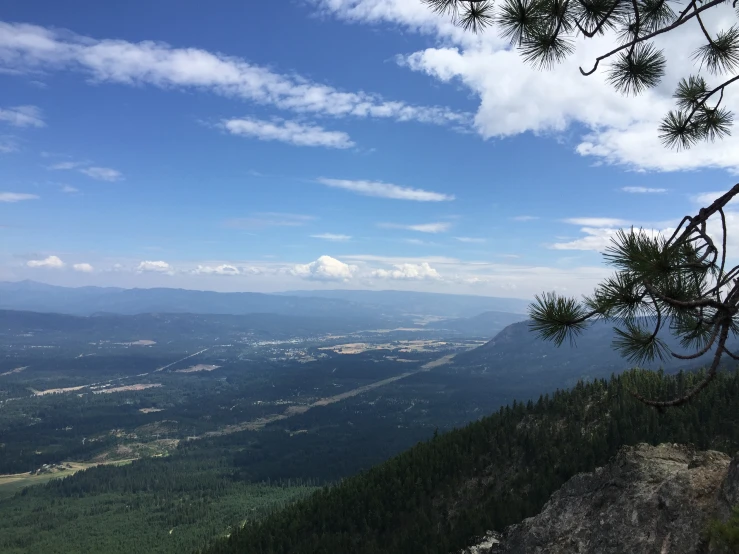 a bird is perched on a tree nch with a view of mountains in the background