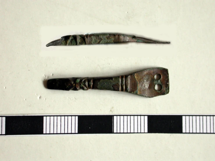 a piece of iron is shown next to an iron ruler