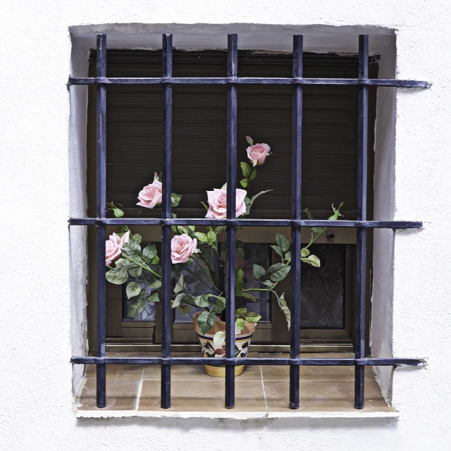 a small vase with roses behind bars by the window