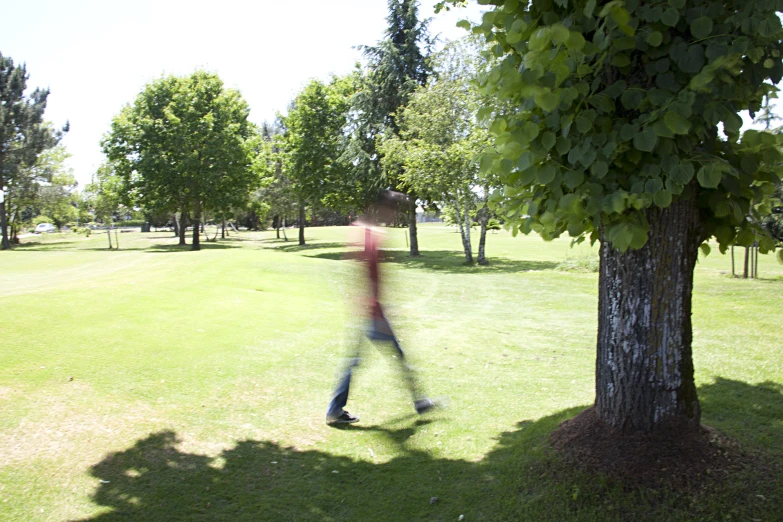 the person is walking near a tree on the field