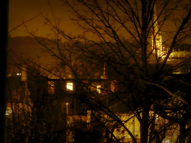 the night city is shown with fog and very dark trees