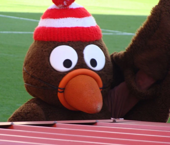 a brown mascot has a funny hat and looks at the camera