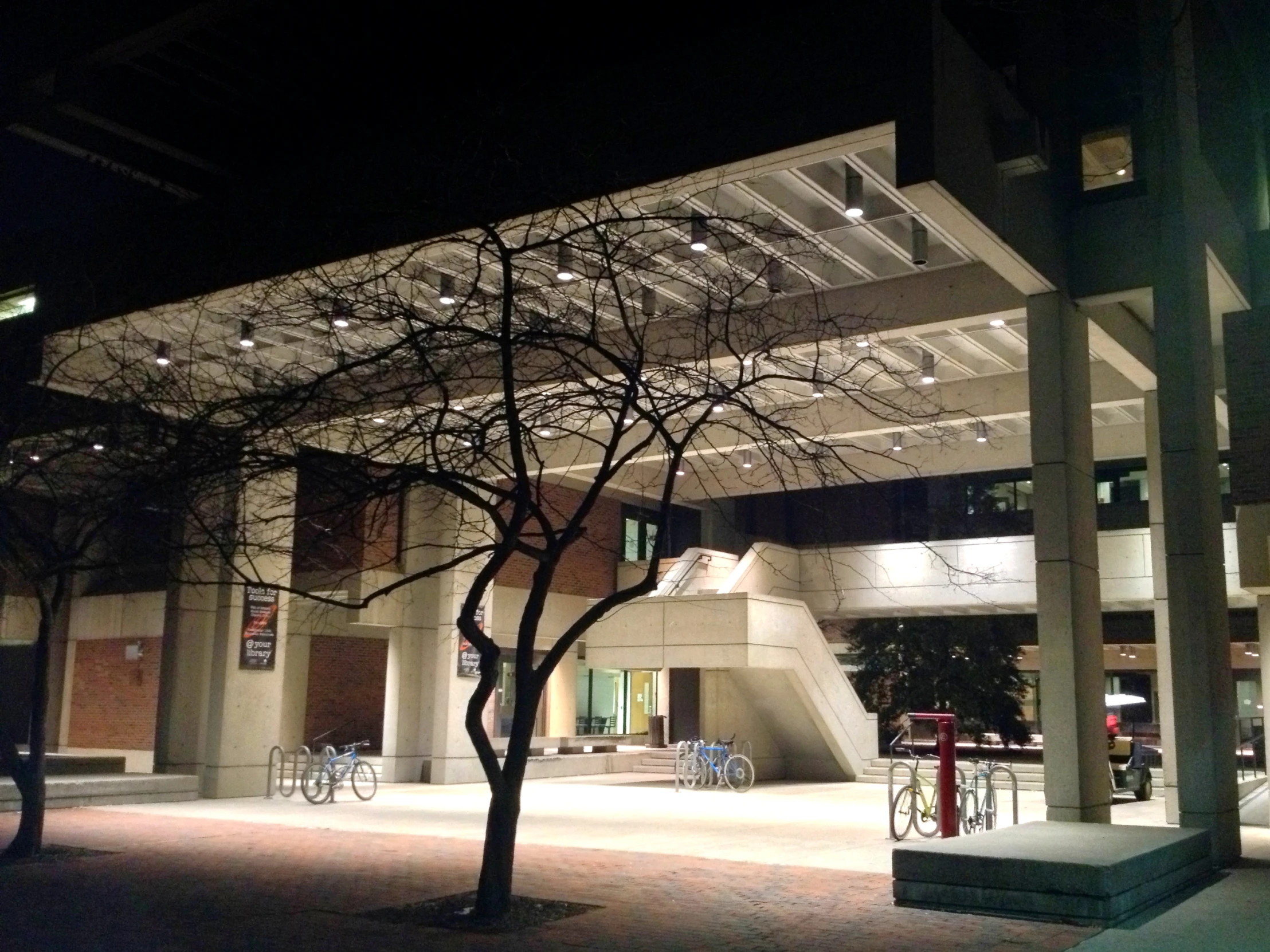 there is a tree next to a building