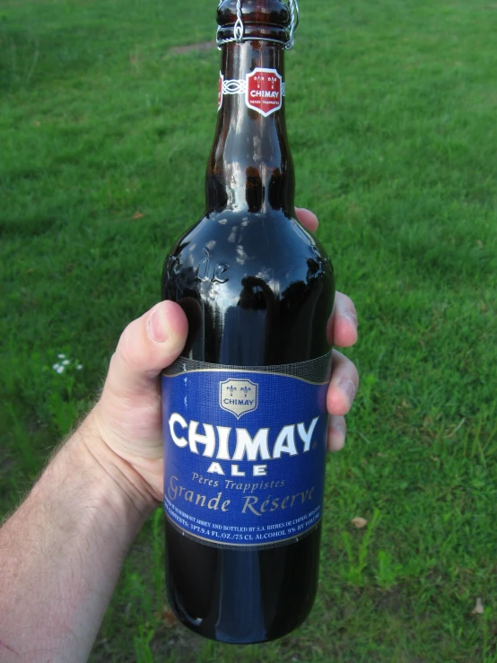 a hand holding a bottle of beer on the grass