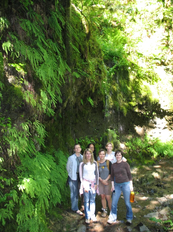 a group of people standing in the woods by a waterfall