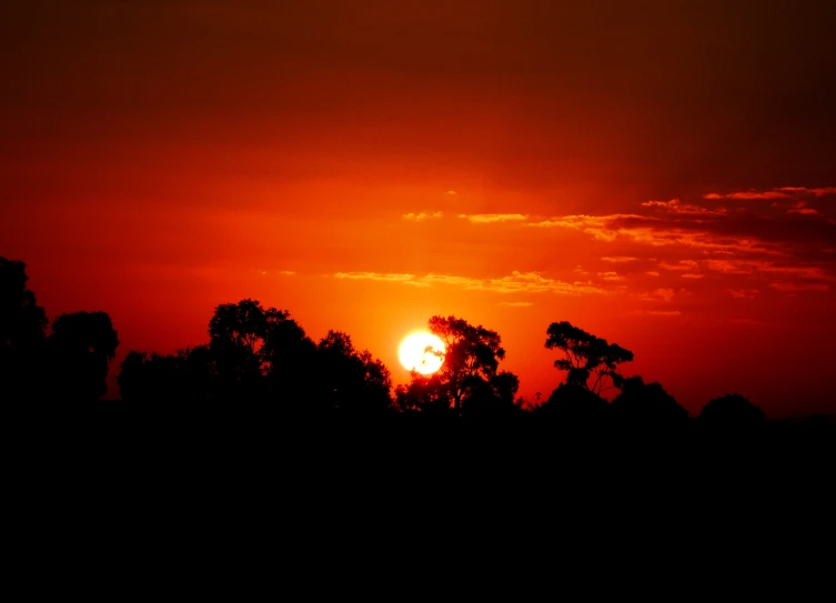 a sunset seen through some trees with dark clouds