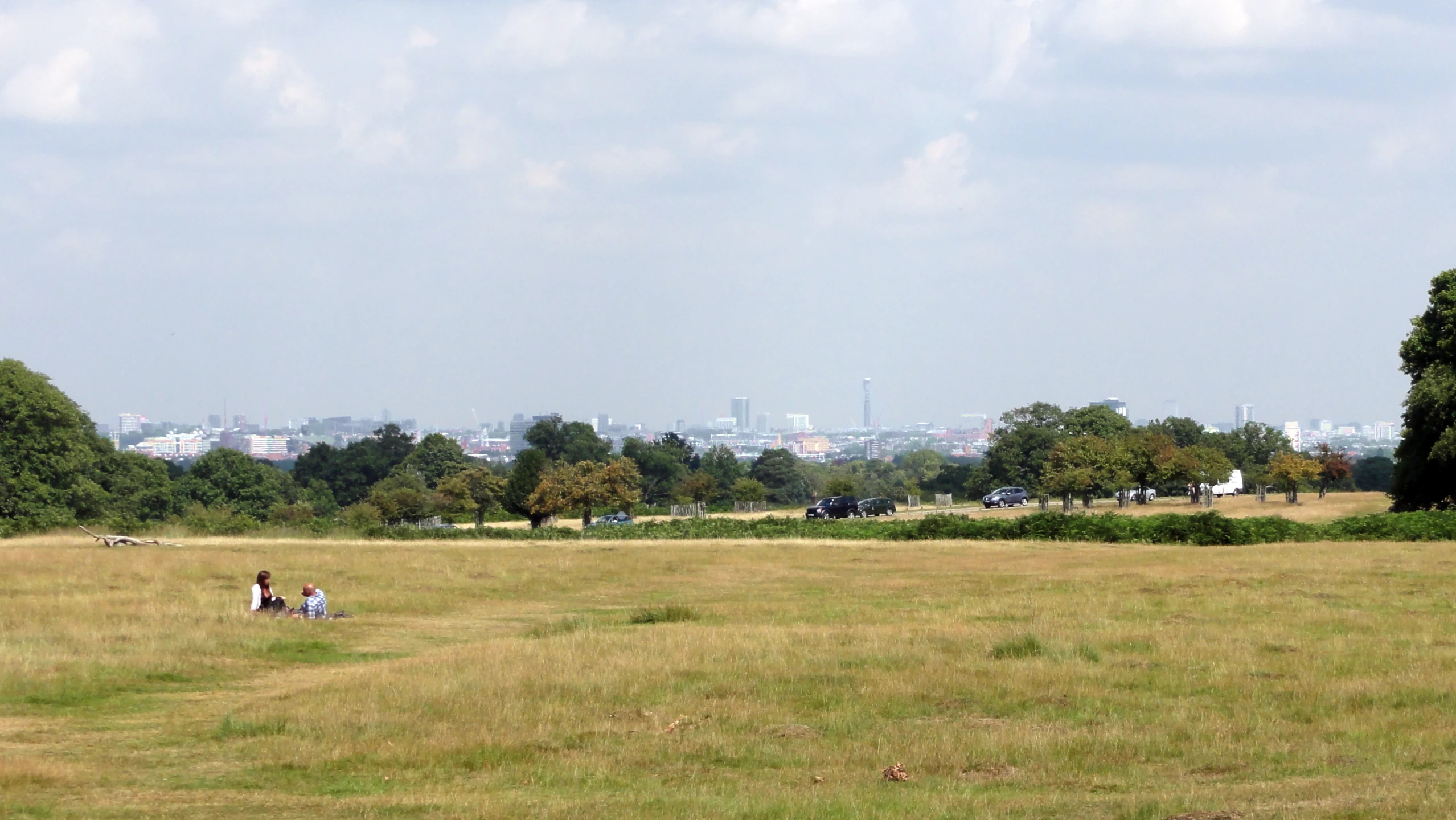 people are walking through the meadow in a grassy field