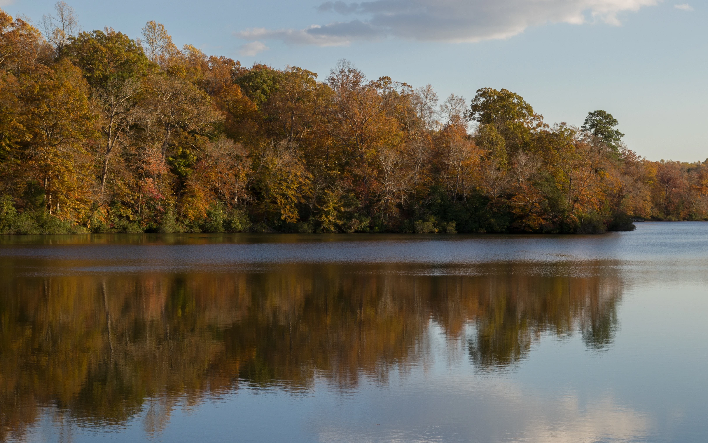 a river with lots of water surrounded by trees