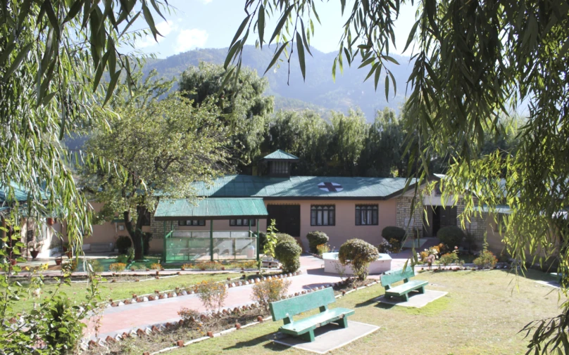 a house surrounded by trees and a few bushes