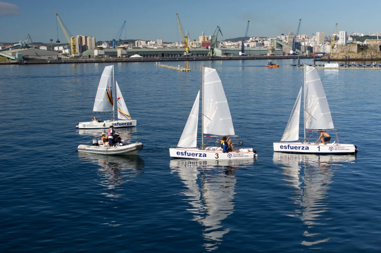 four small sailboats float across the water on a sunny day