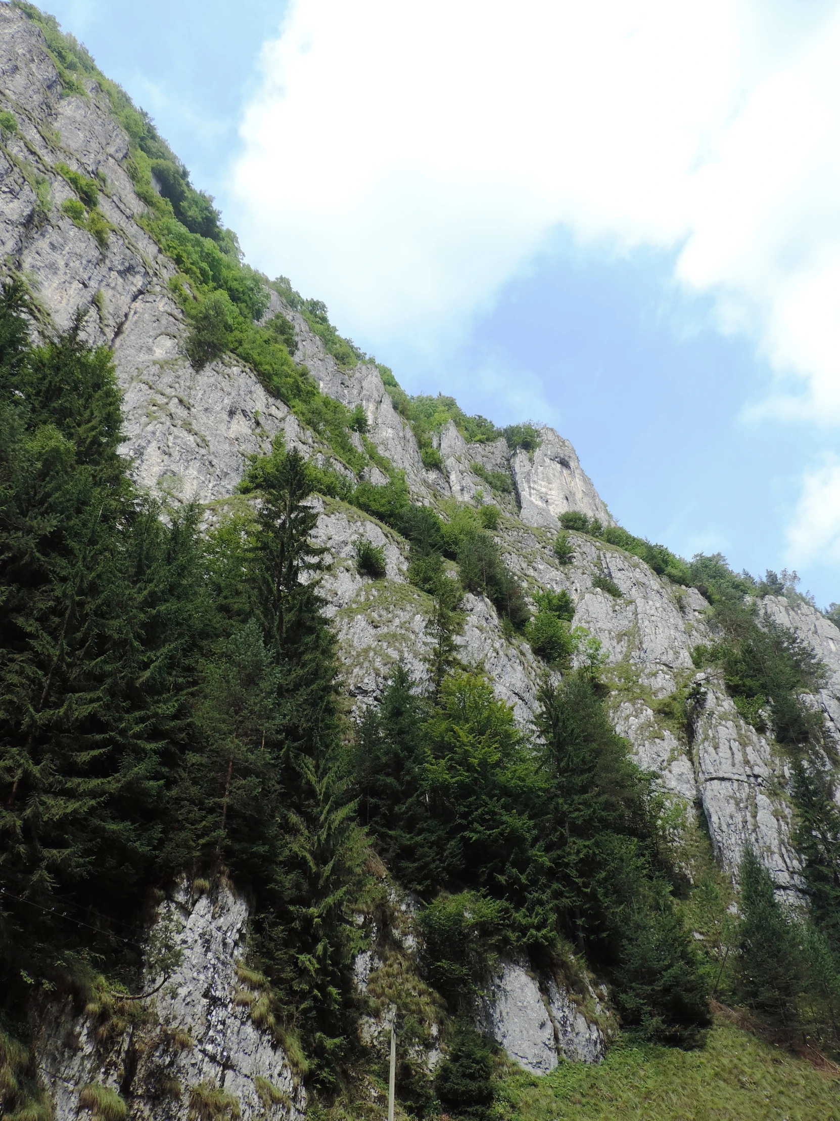 a hill with a hillside in the background