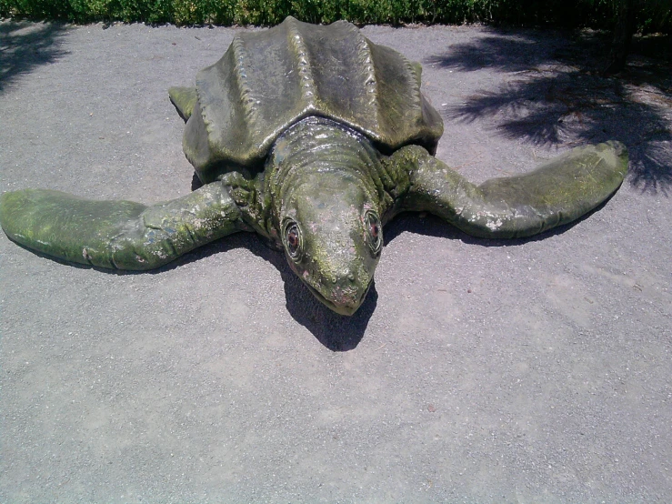 a turtle sculpture laying on the ground