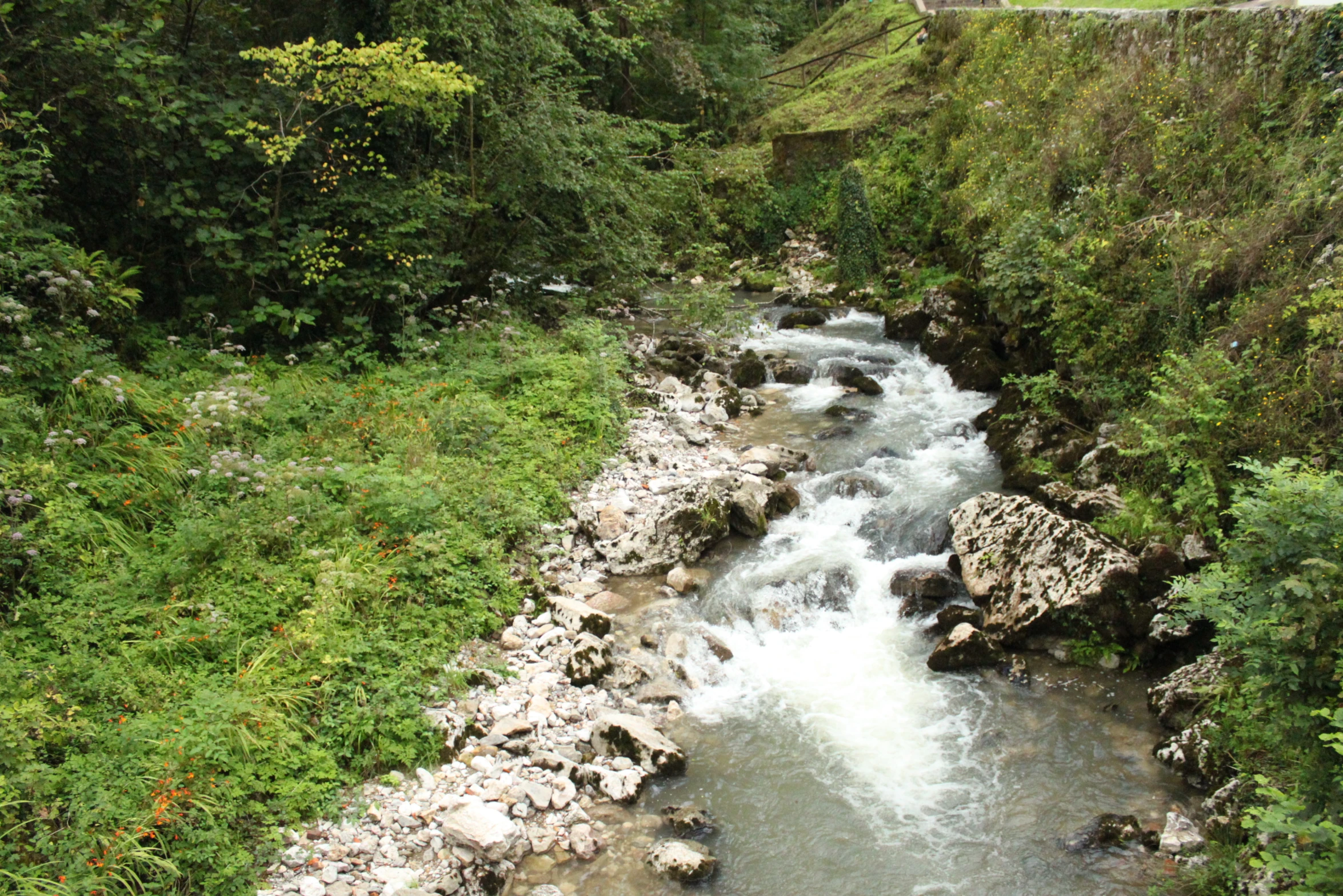 a small stream flowing between two rocky banks