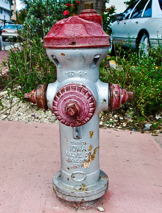 the fire hydrant is on a street near some bushes