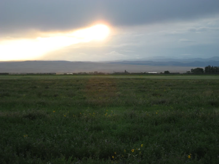 a green field with a few hills behind it