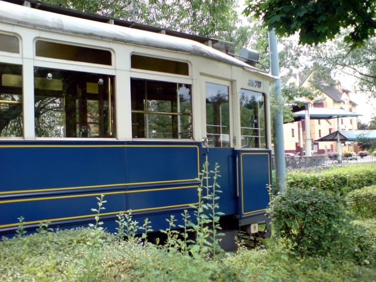 a blue and white train is parked in some grass