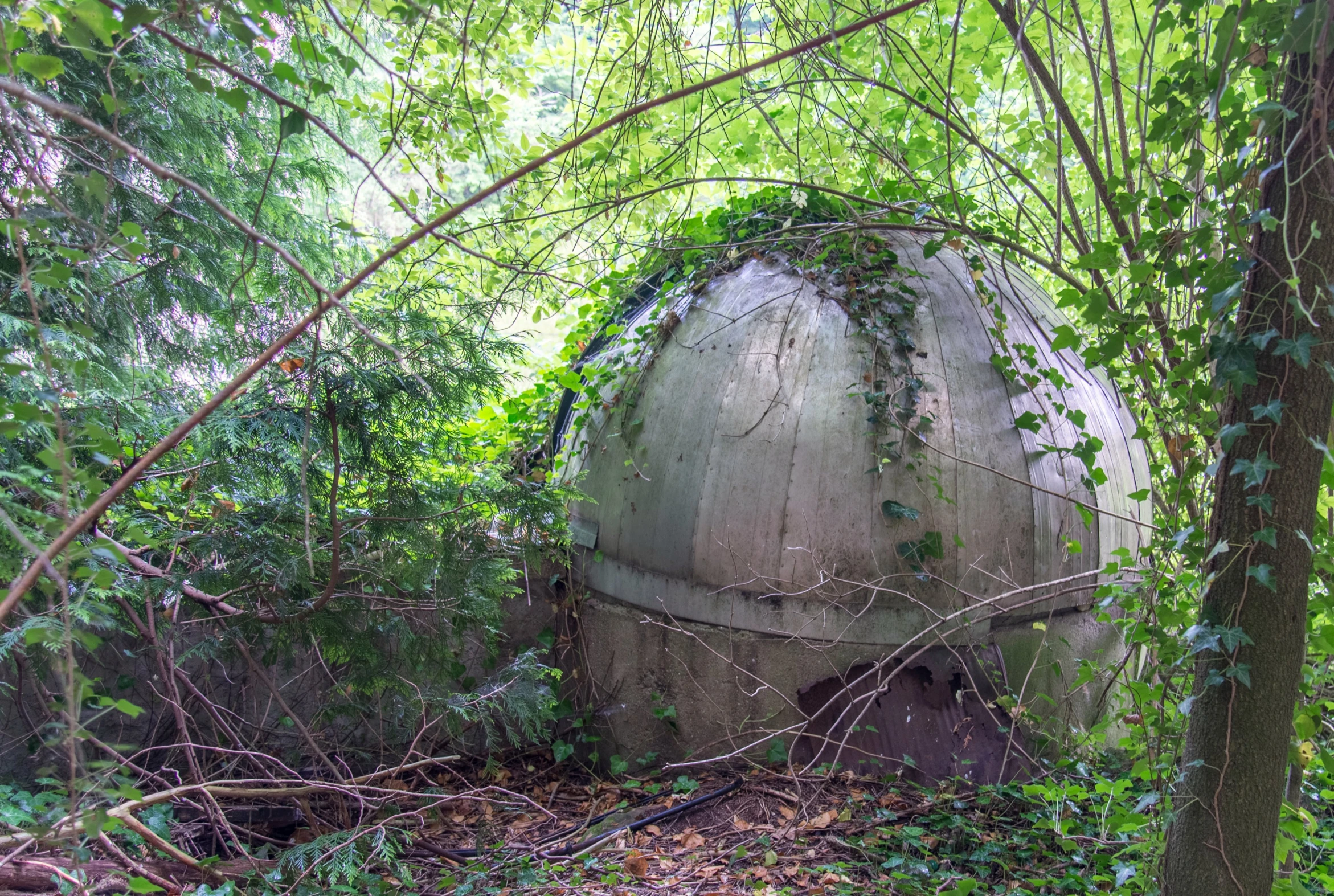 an abandoned concrete building is overgrown by vines