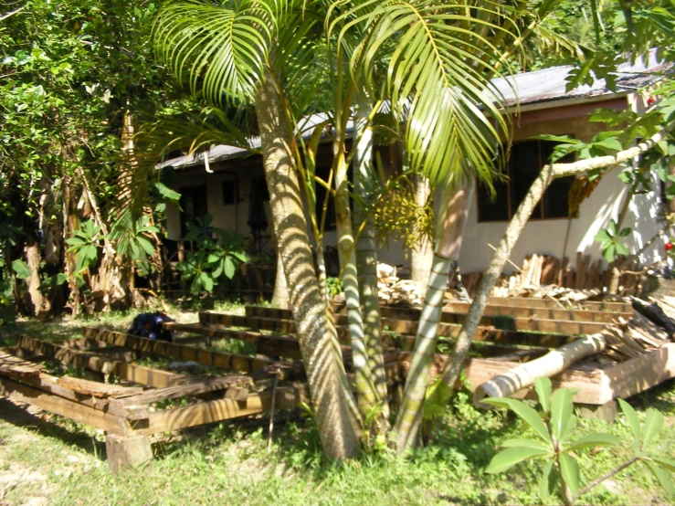a garden area with several small wooden tables and palm trees