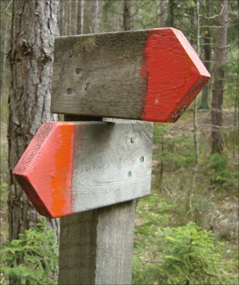 two wooden directional signs in the woods