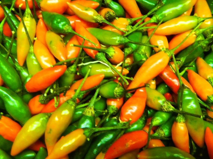 several peppers are laying together in the middle