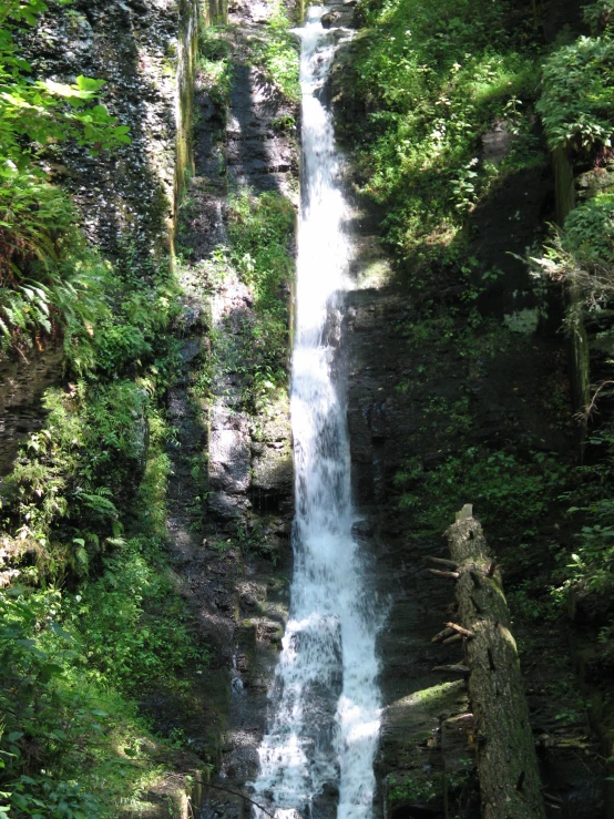 the forest with a large waterfall running through it