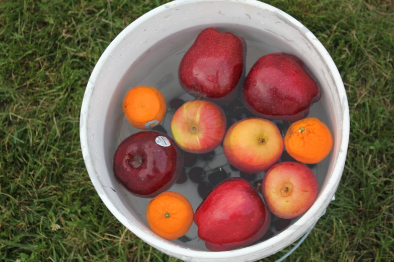 an open bucket of water with apples, oranges and plums